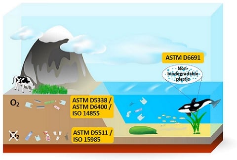 Illustration of biodegradability