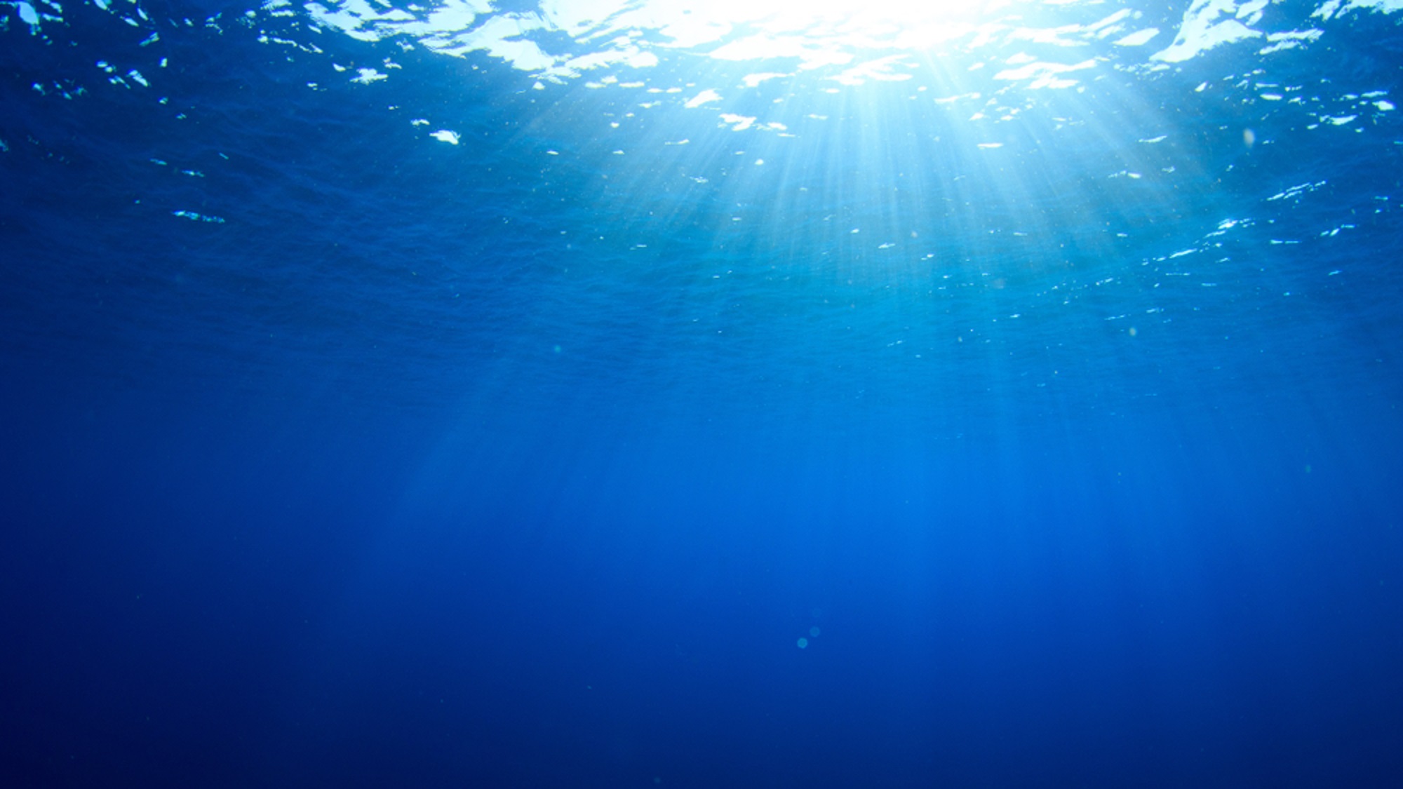 Looking up while on the ocean.