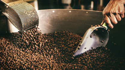 coffee beans being roasted, with a scoop lifting them from a large metal roasting machine